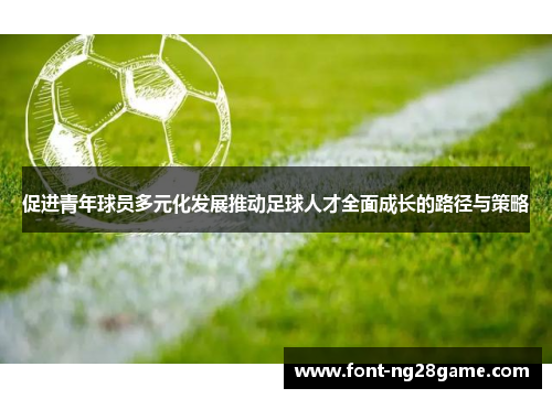 促进青年球员多元化发展推动足球人才全面成长的路径与策略
