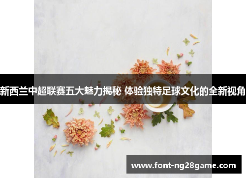 新西兰中超联赛五大魅力揭秘 体验独特足球文化的全新视角